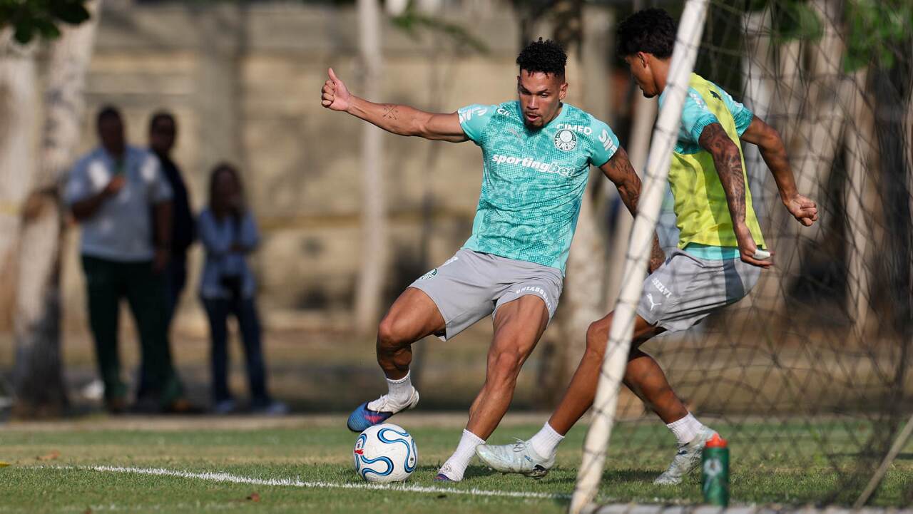 Paulinho volta a treinar e anima Palmeiras na Libertadores