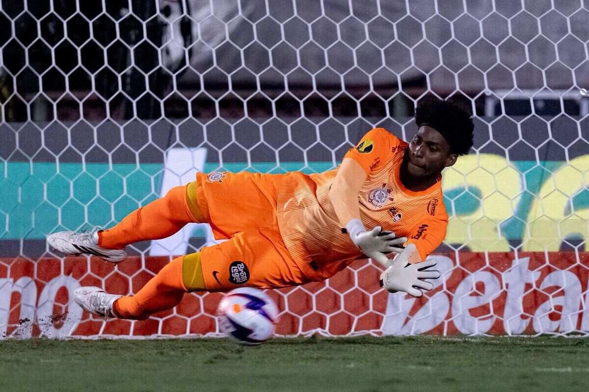 Foto: Reprodução / Agência Corinthians