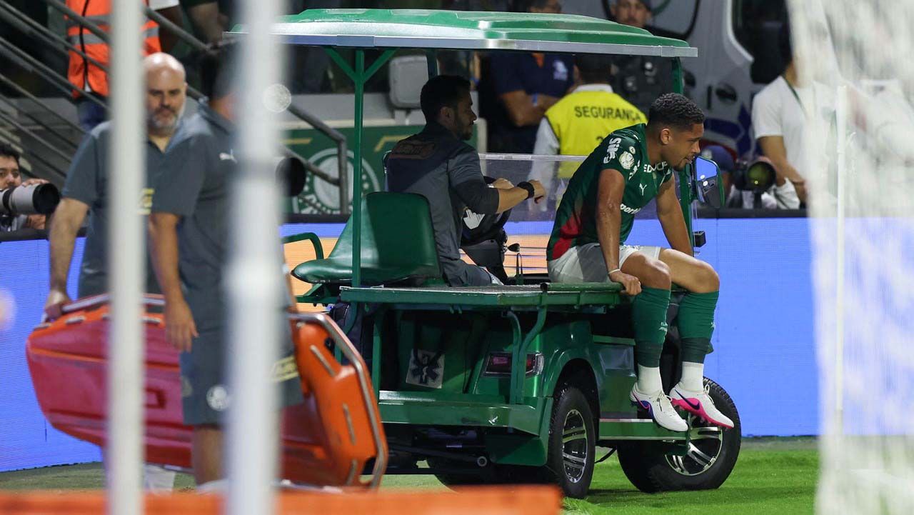 Foto: Reprodução / Palmeiras