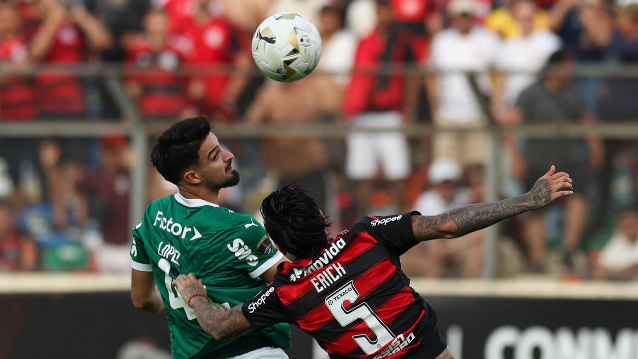 Foto: Reprodução / Palmeiras