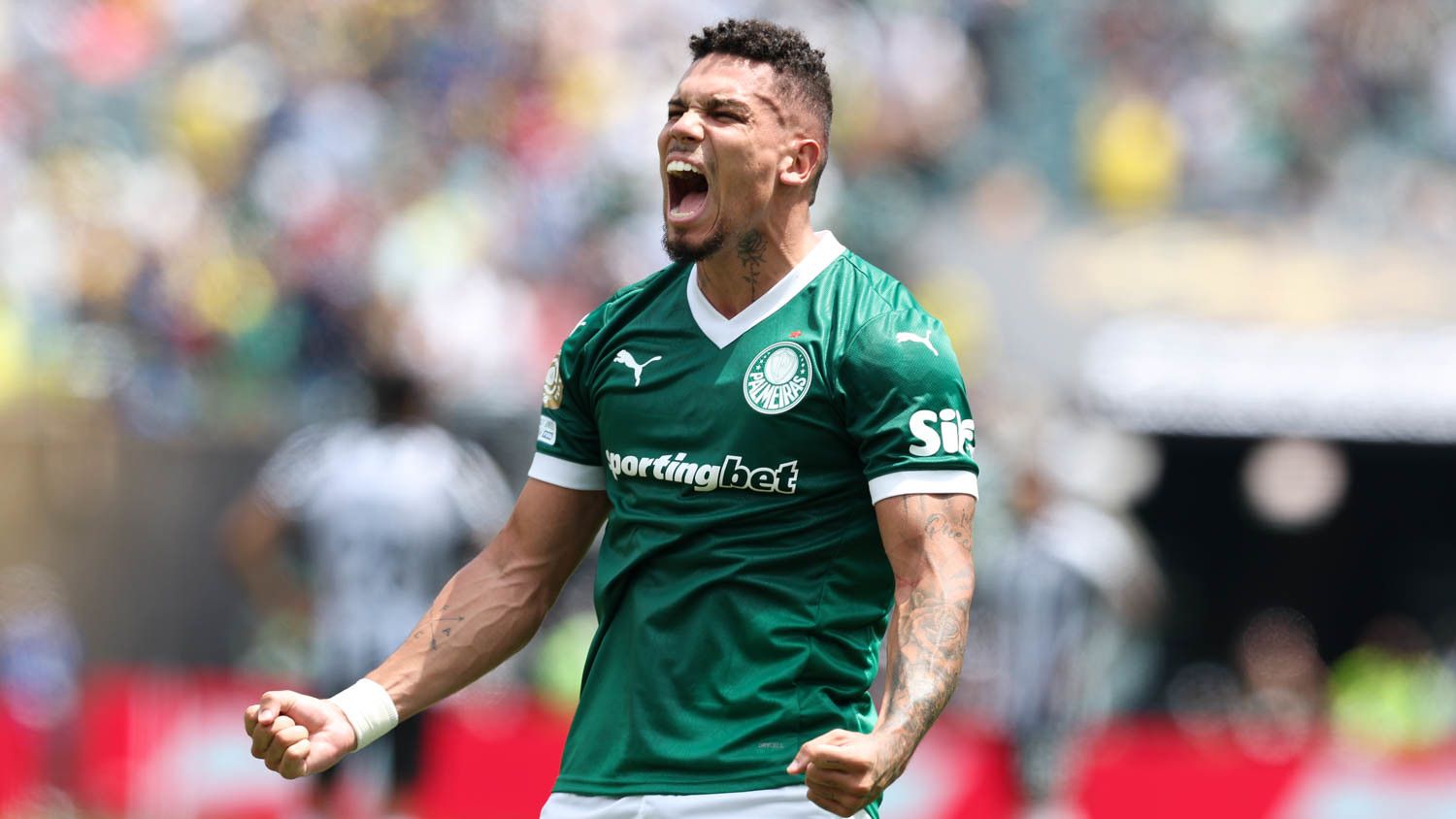 (Foto: Cesar Greco / Palmeiras)