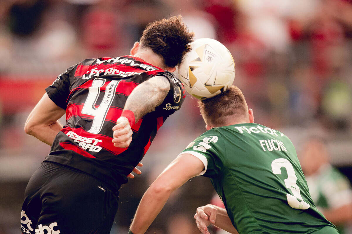 Flamengo e Palmeiras se reencontram após Libertadores