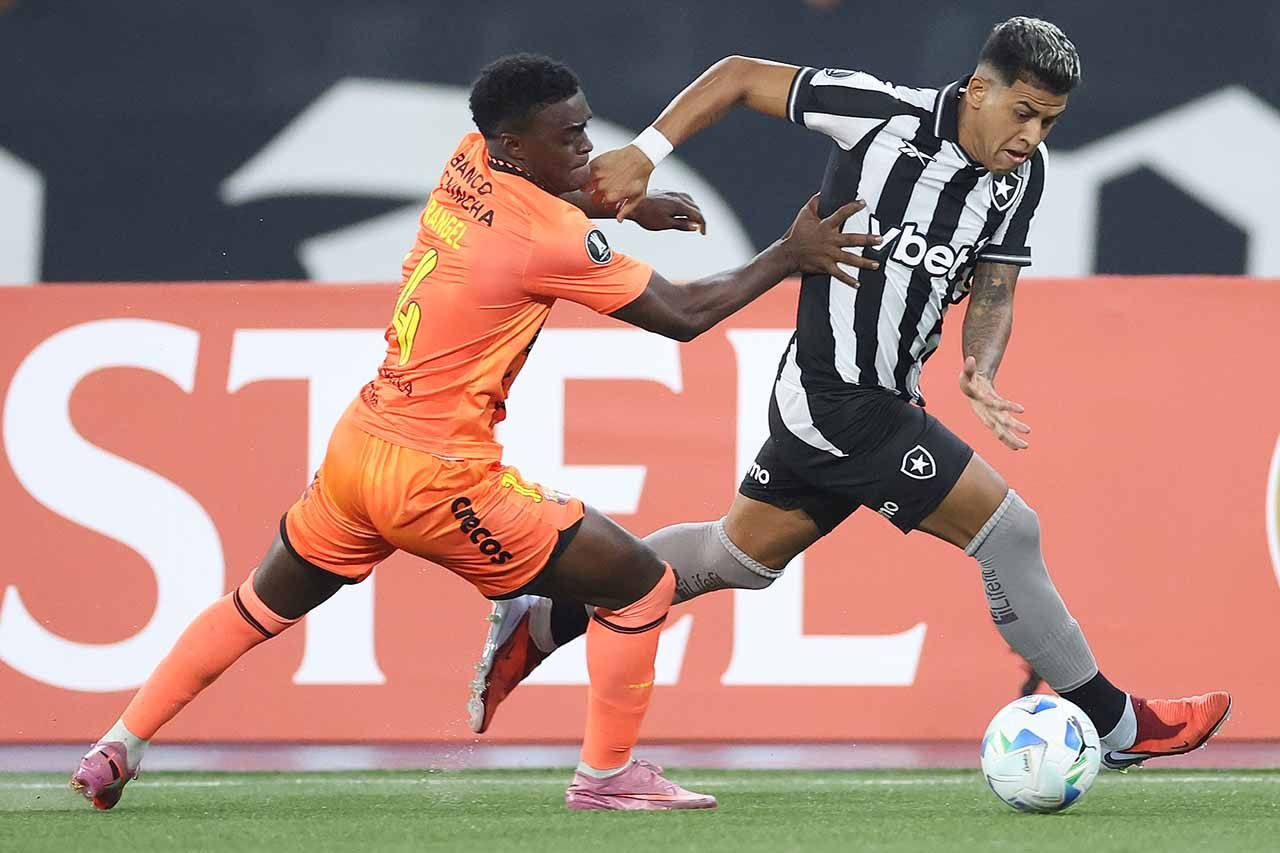 Foto: Reprodução / Botafogo