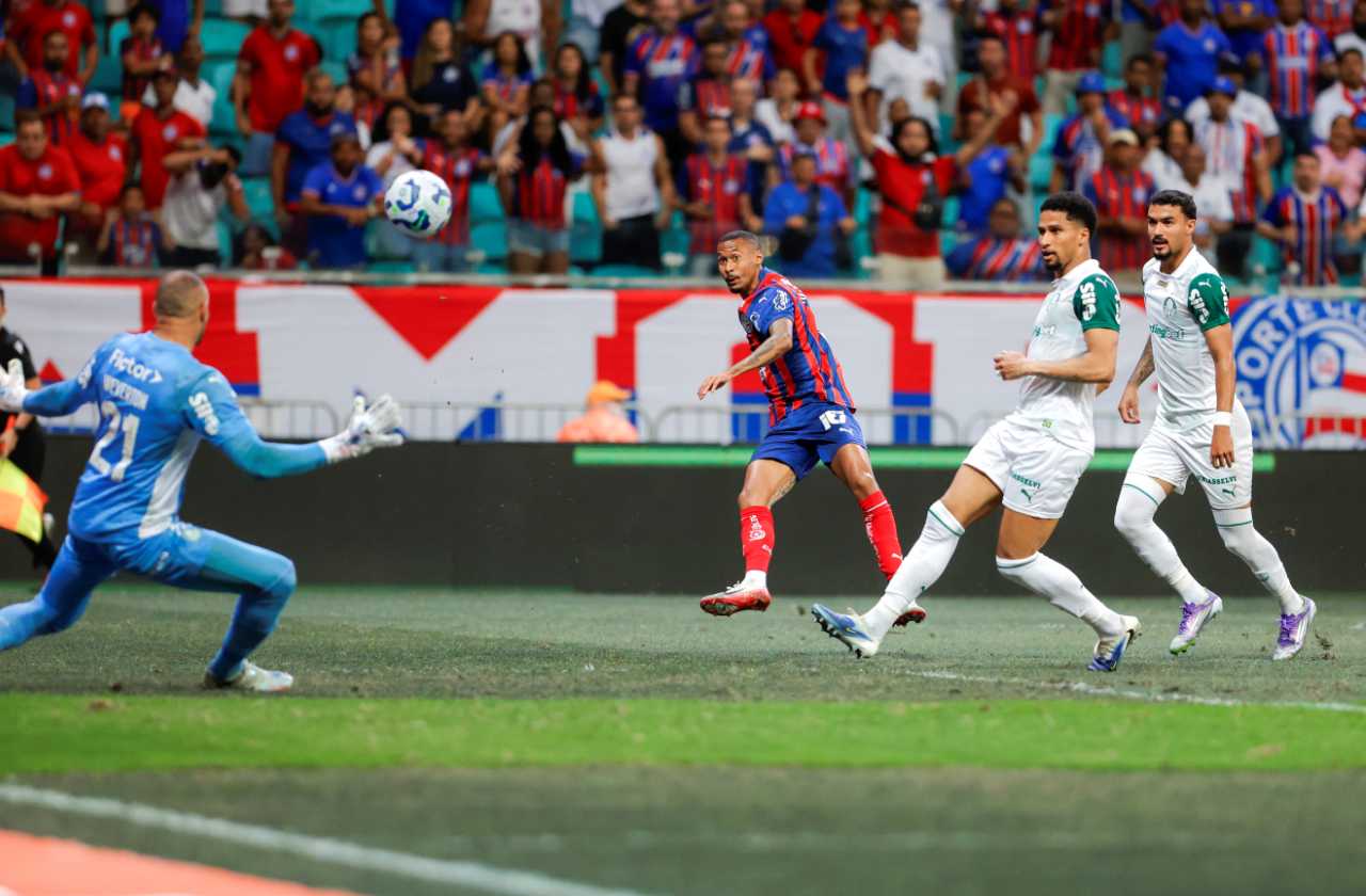 Foto: Reprodução / Palmeiras