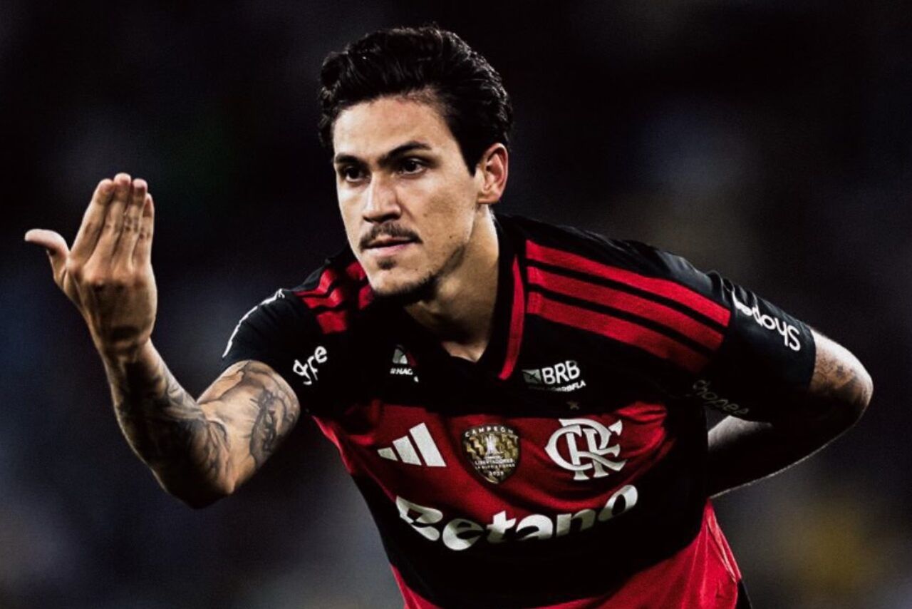 Foto: Reprodução / Flamengo