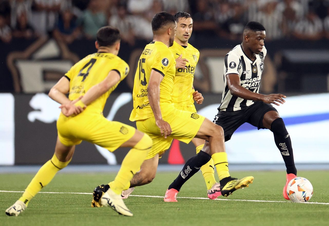 (Foto: Vitor Silva/Botafogo)