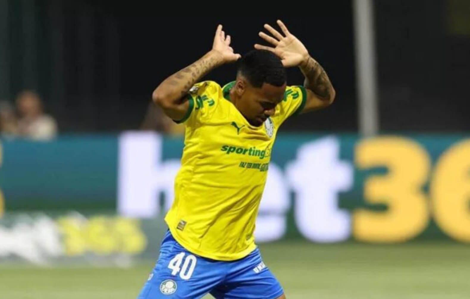 Allan, do Palmeiras, é expulso após pisão contra a Chapecoense Allan, do Palmeiras, é expulso após pisão contra a Chapecoense