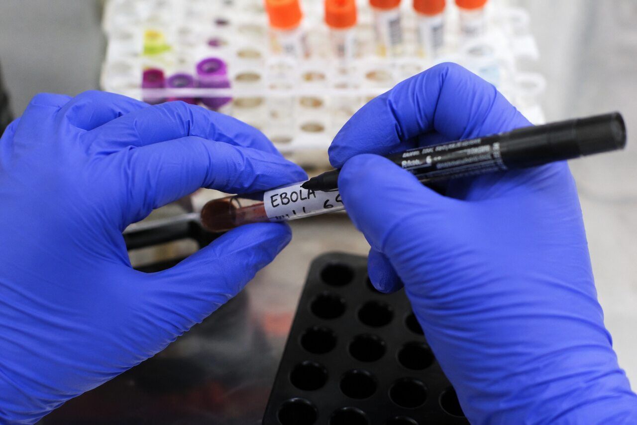 Governo do Marrocos cancela amistosos por causa de ebola