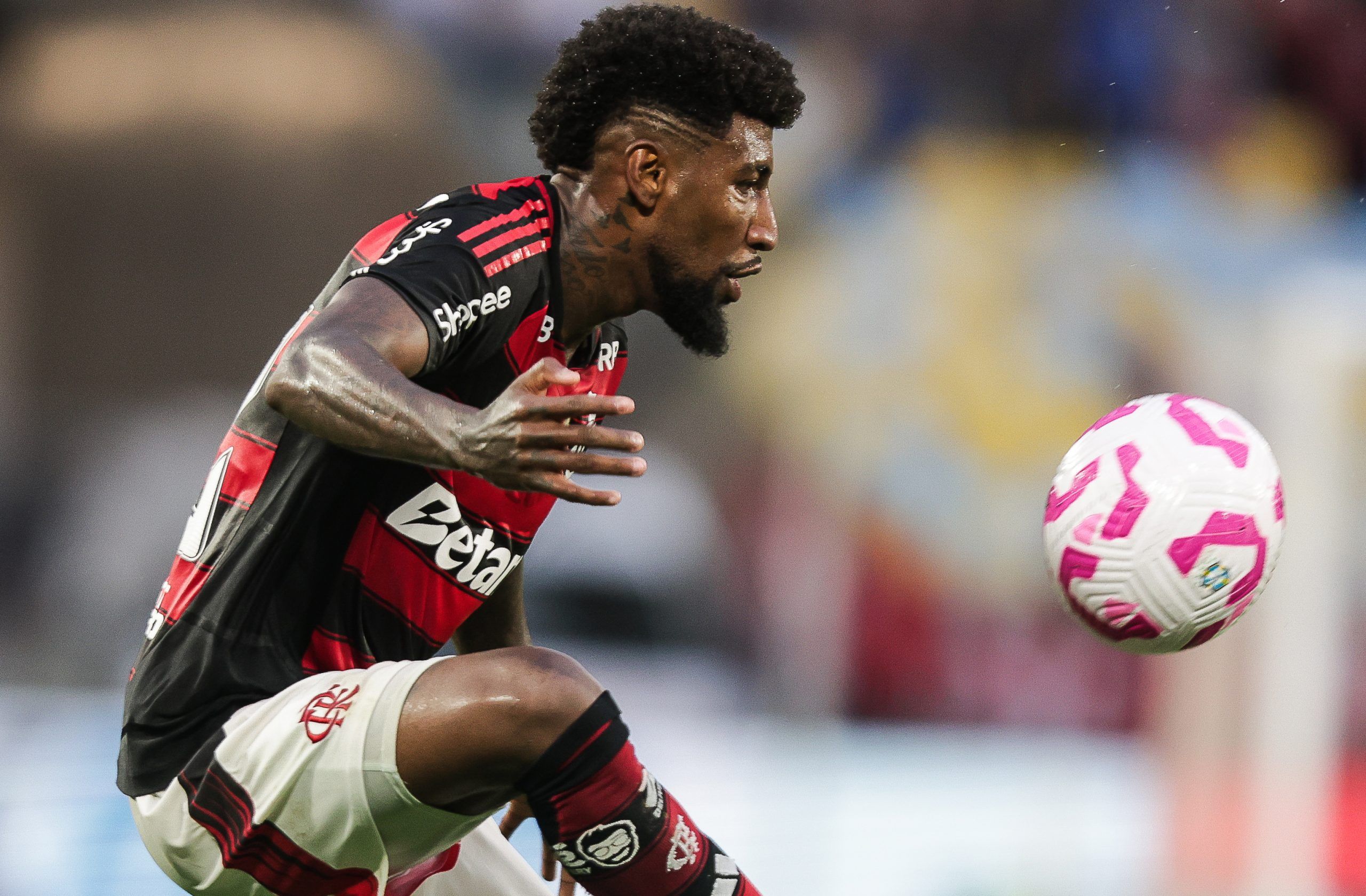 Foto: Reprodução / Flamengo