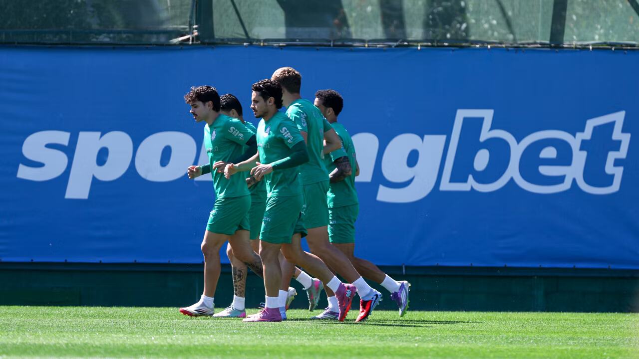 Foto: Reprodução / Palmeiras