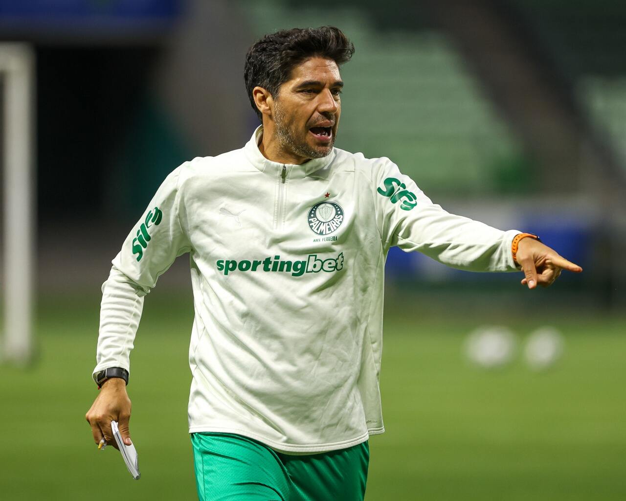 Foto: Reprodução / Palmeiras