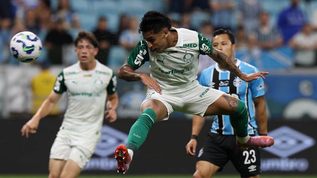 Foto: Reprodução / Palmeiras