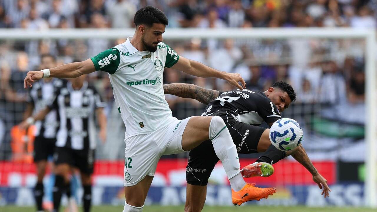 Foto: Reprodução / Palmeiras