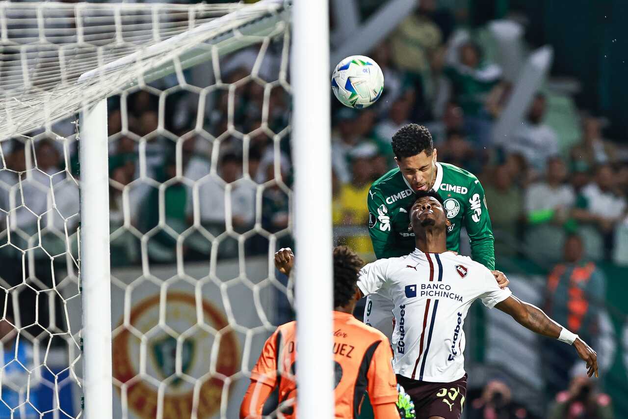 Foto: Reprodução / Palmeiras