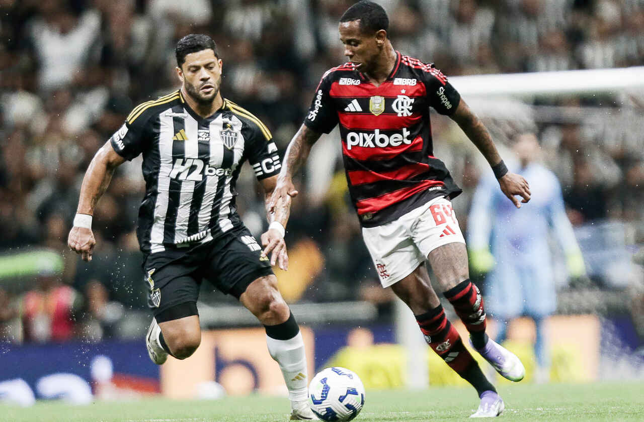 (Foto: Gilvan de Souza / Flamengo)