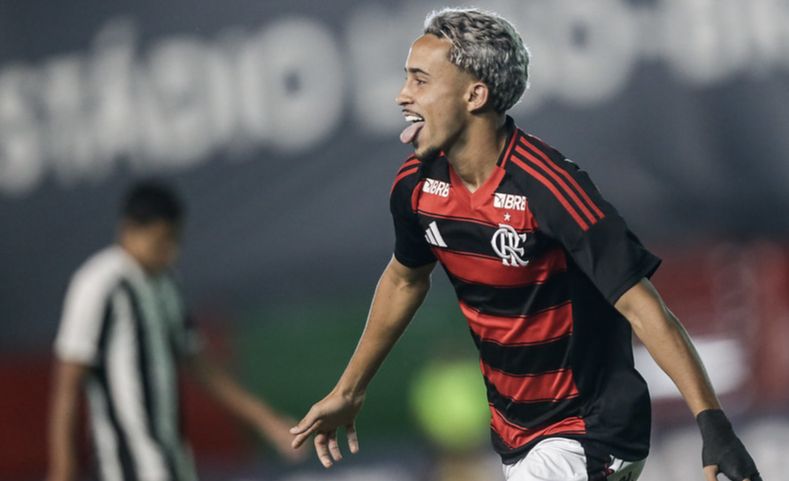 (Foto: Gilvan de Souza / Flamengo)