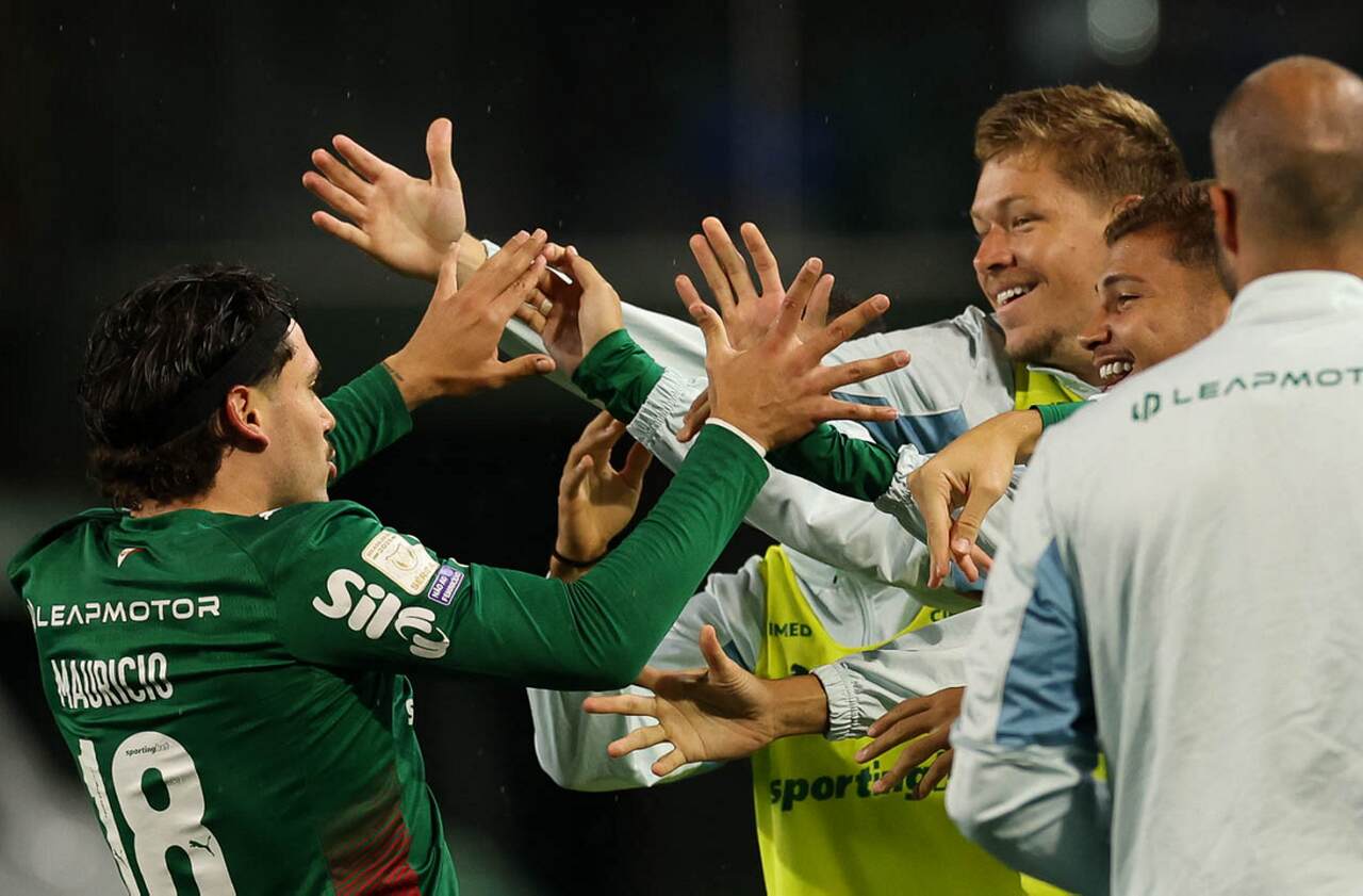 Palmeiras fecha primeiro turno com campanha histórica