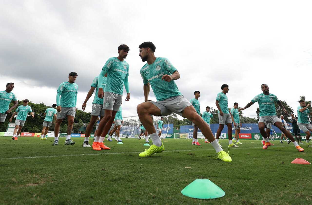 Foto: Reprodução / Palmeiras