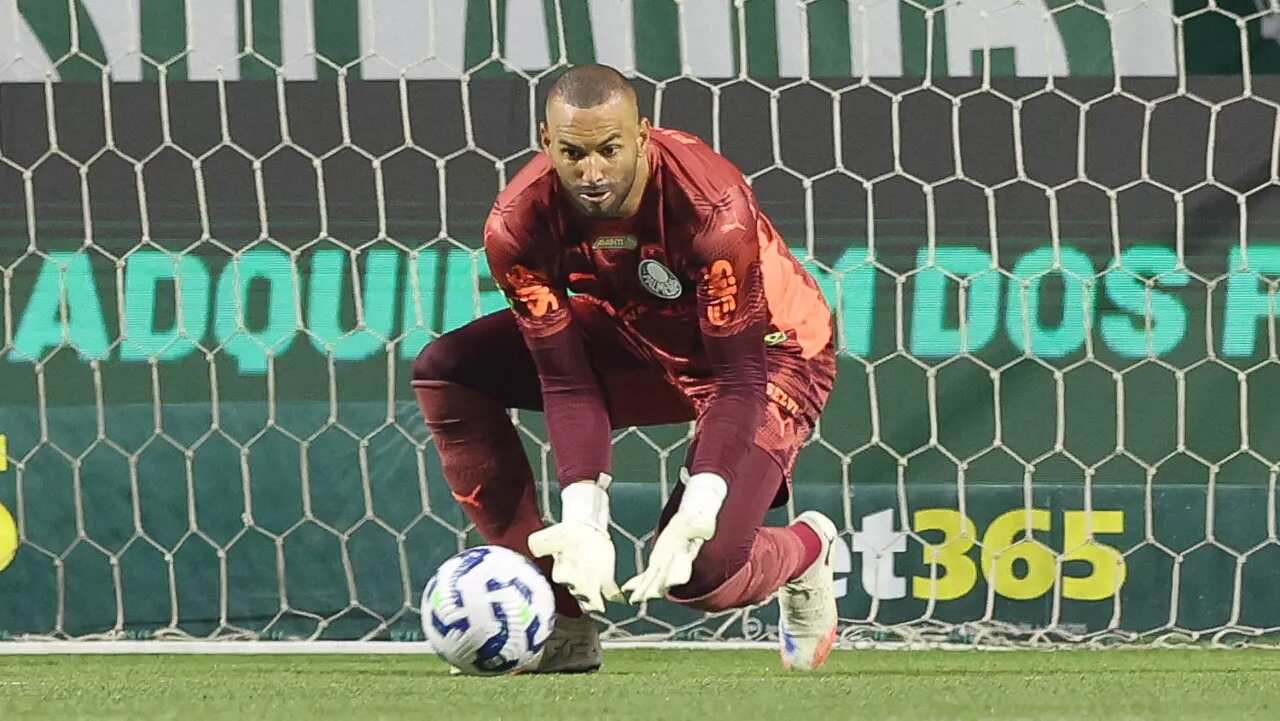 Foto: Reprodução / Palmeiras