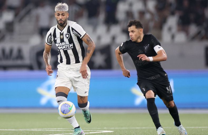 (Foto: Vitor Silva/Botafogo)