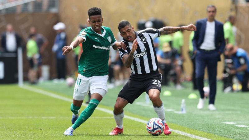 (Foto: Cesar Greco/Palmeiras)