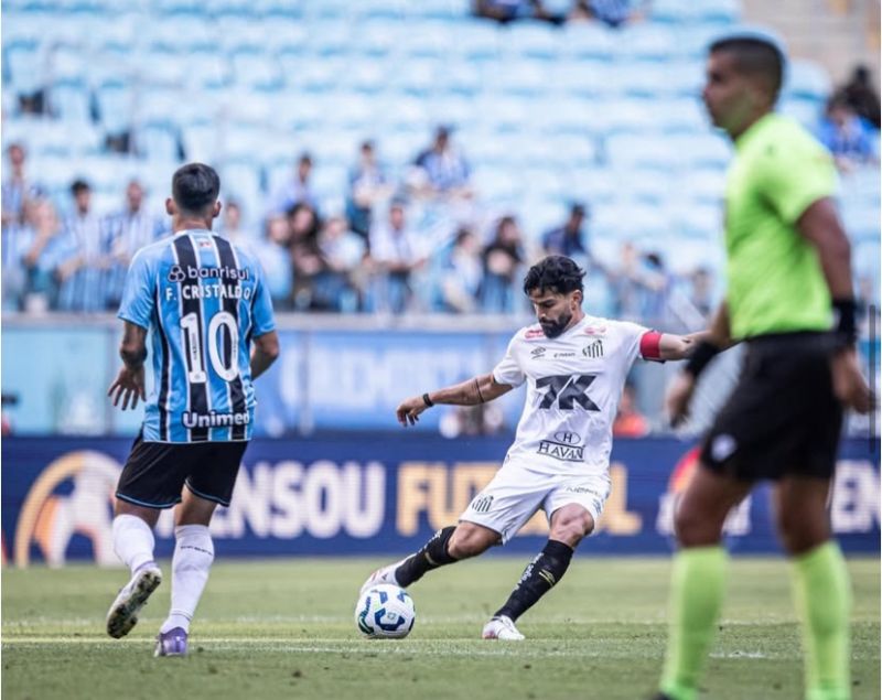 Grêmio x Santos (Foto: Raul Baretta / Santos)